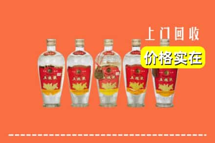 昌都市江达回收老五粮液